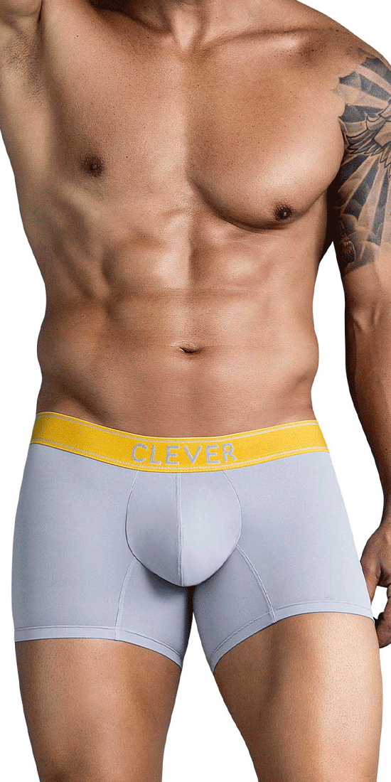 Clever 1755 Diseno Trunks Gray