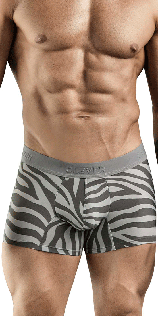 Clever 1800 Cebra Trunks Gray