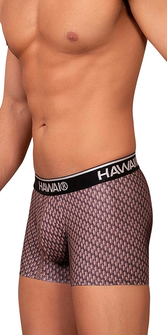 Hawai 42420 Printed Trunks Cocoa