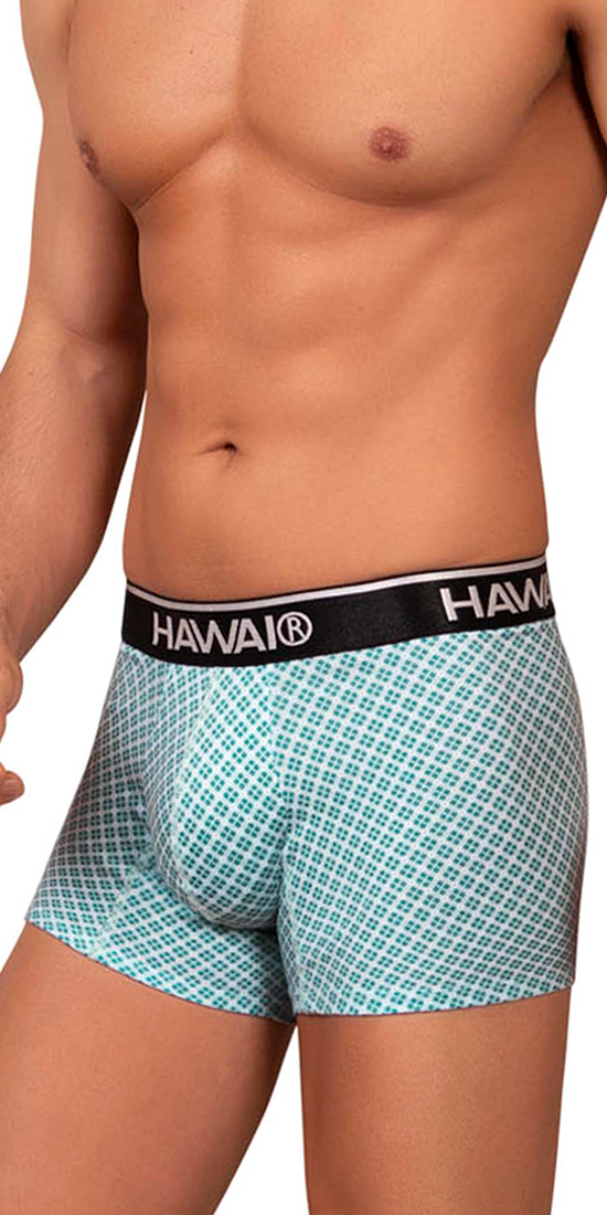Boxer imprimé Hawai 42421 Vert