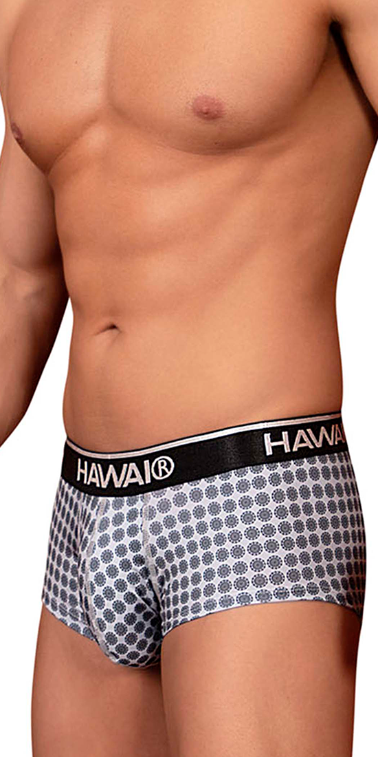 Hawai 42430 Printed Briefs Gray