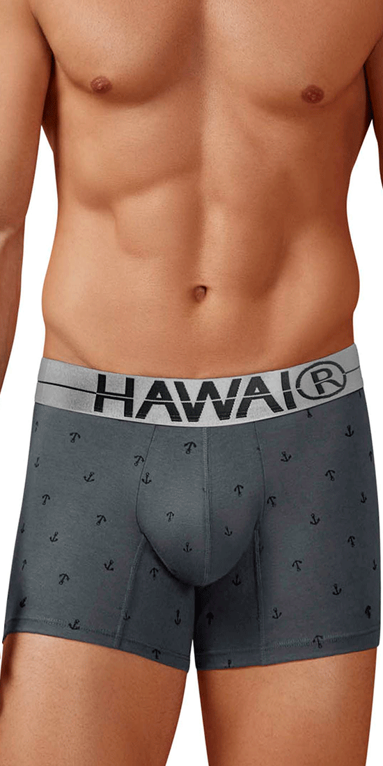 Hawair 42521 Cotton Blend Trunks Gray