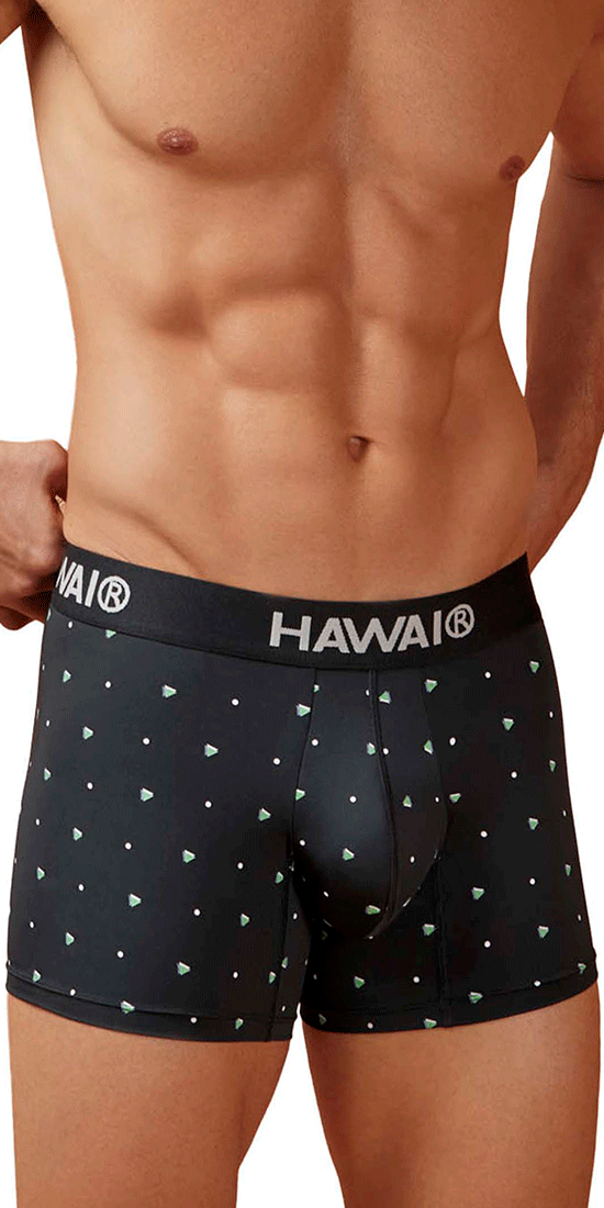 Hawair 42570 Microfiber Trunks Black