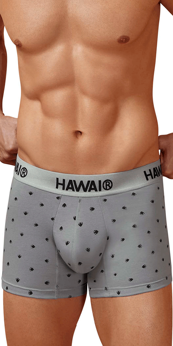 Hawair 42571 Cotton Blend Trunks Gray