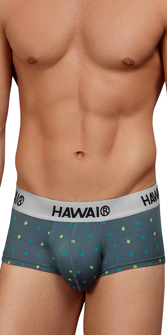 Hawair 42580 Microfiber Briefs Gray