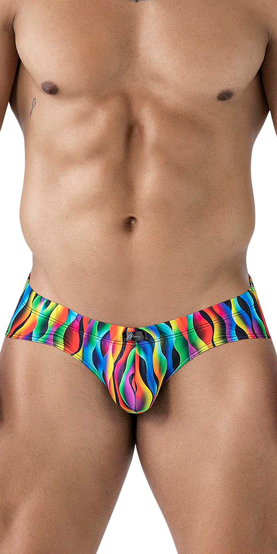 Xtremen 91248 Printed Briefs Waves