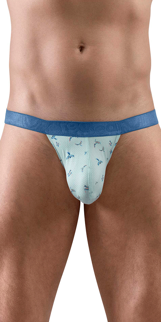 Ergowear Ew1776 Slk Se G-string Frost-birds