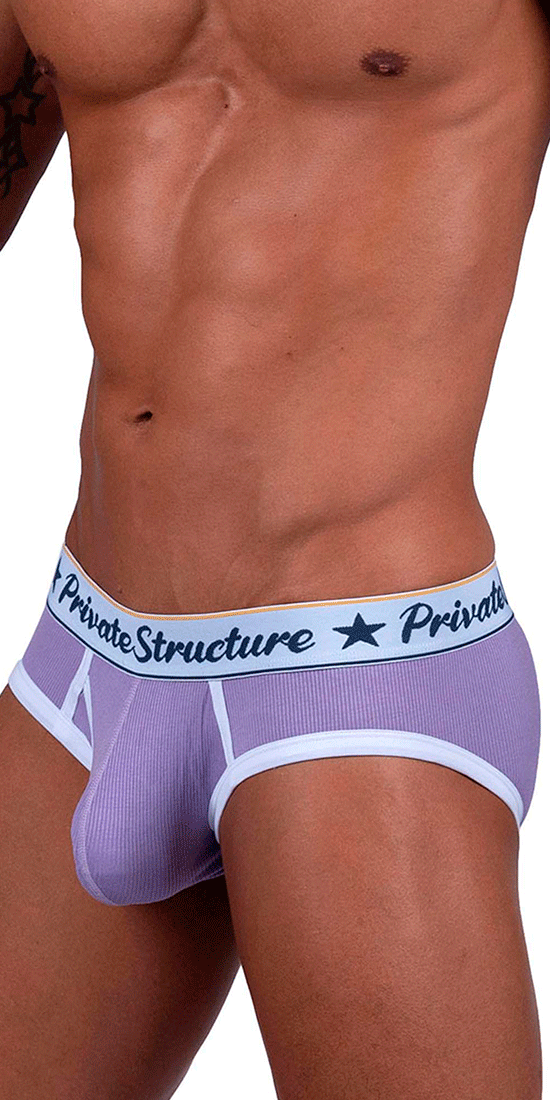 Private Structure Scus4529 Classic Mid Waist Mini Briefs Purple