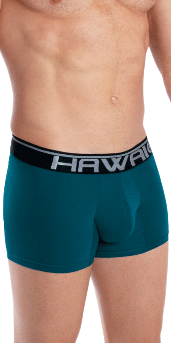 Spectaculair Vliegveld Onheil Hawai 41903 Solid Athletic Boxer Briefs Petrol – MensUnderwearStore.com -  Men's Underwear and Swimwear
