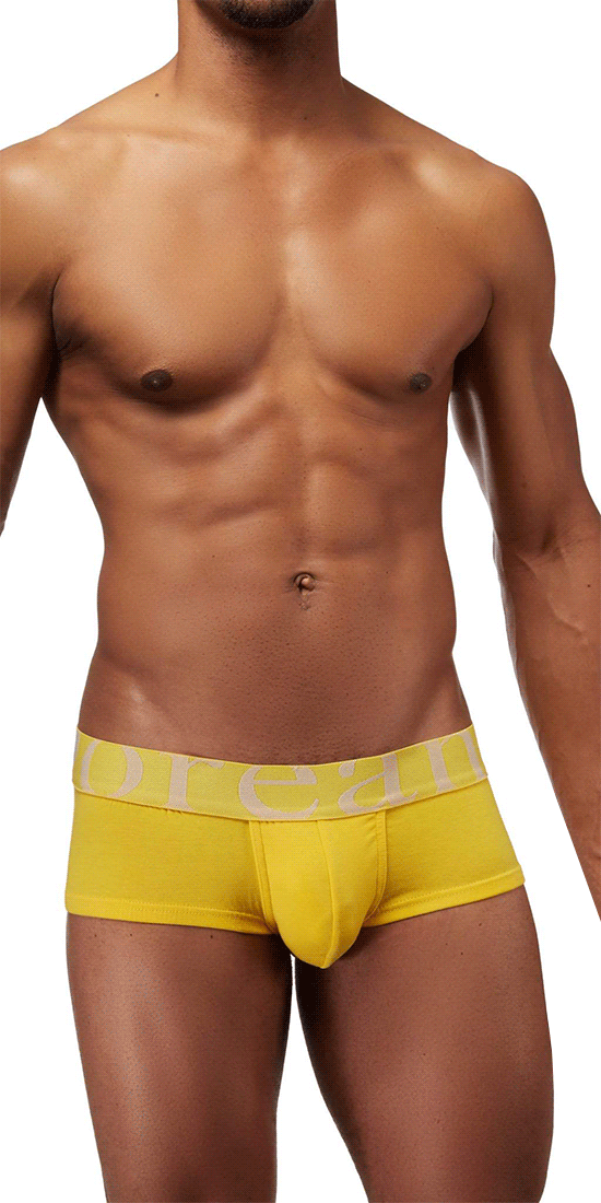 Mens mini trunk underwear sales