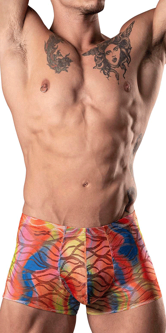 Male Power 131-293 Your Lace Or Mine Pouch Short Multi