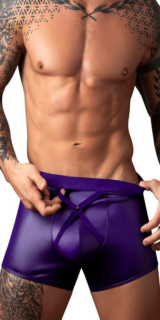 Male Power 152-302 Eggplant Crossover Short Plum