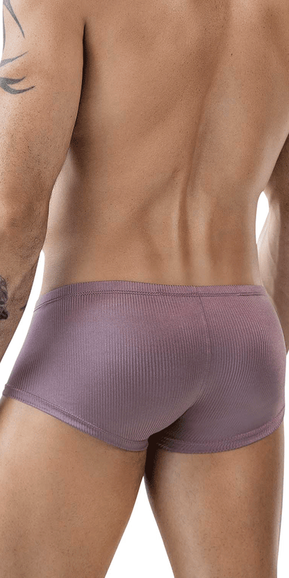 Clever 1844 Aura Trunks Brown