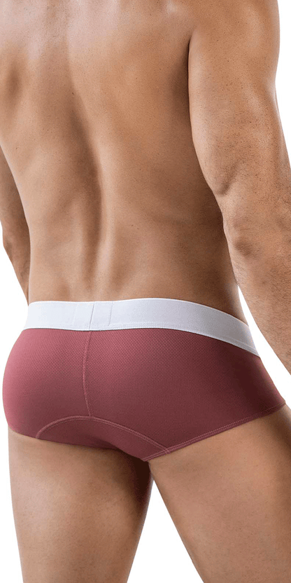 Clever 1863 Lecler Briefs Grape