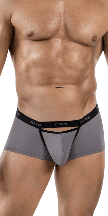 Clever 1866 Tokio Trunks Gray