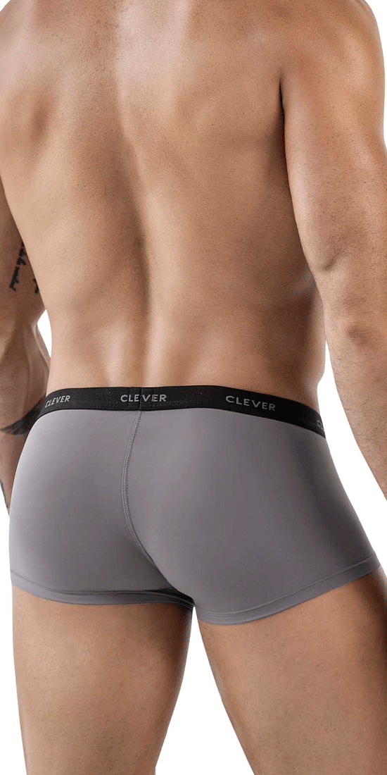 Clever 1866 Tokio Trunks Gray