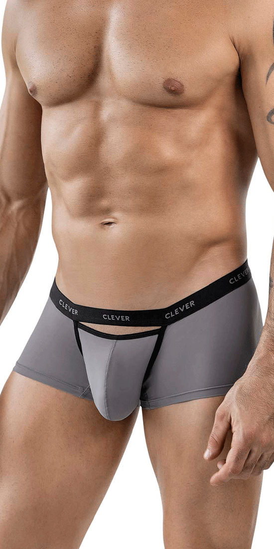 Clever 1866 Tokio Trunks Gray