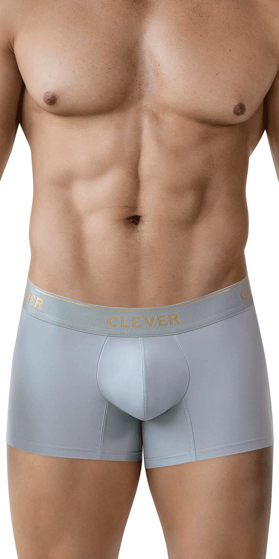 Clever 2026 Valladolid Trunks Gray