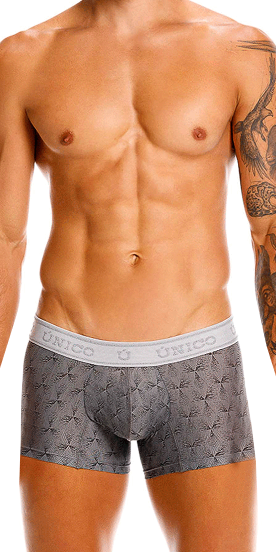 Unico 25050100103 Chisell Trunks 59-gray
