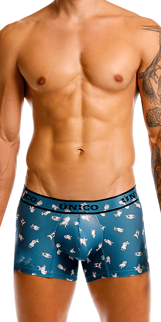 Unico 25060100104 Chihuahua Trunks 43-blue
