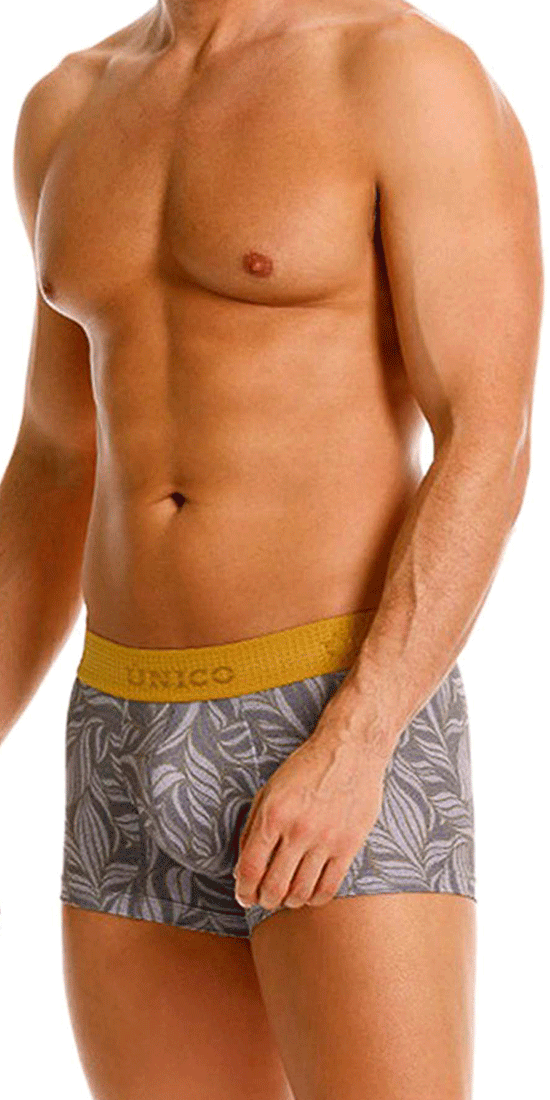 Unico 25070100104 Caudal Trunks 59-gray