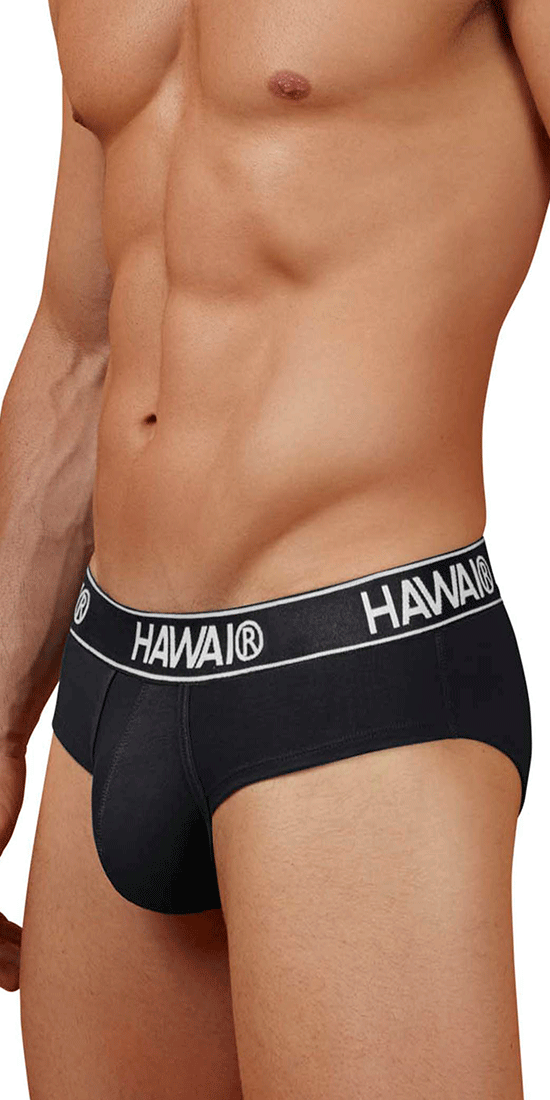 Hawair 41962 Cotton Blend Briefs Black-01