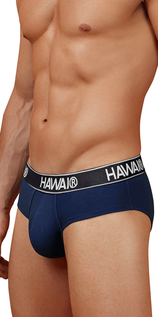 Hawair 41962 Cotton Blend Briefs Dark Blue-01