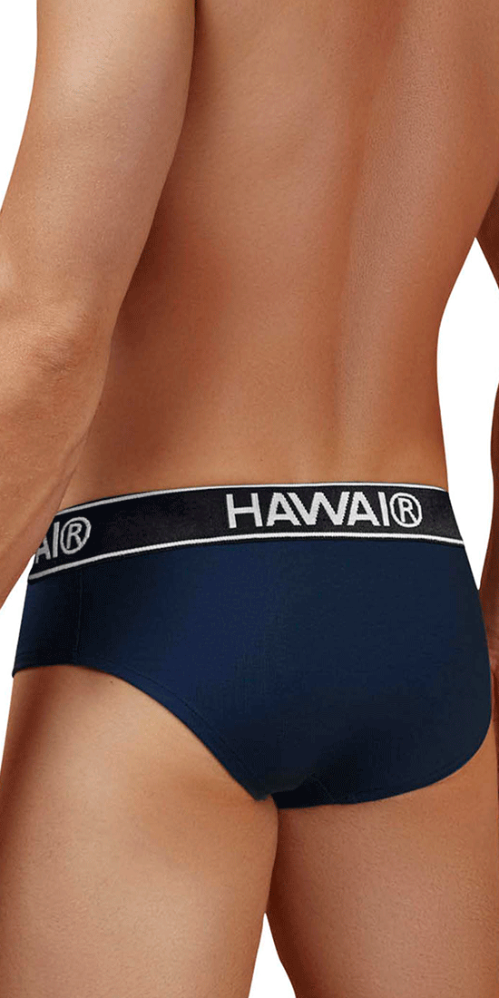 Hawair 41962 Cotton Blend Briefs Dark Blue-01