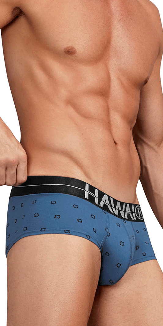 Hawair 42531 Cotton Blend Briefs Blue Quartz