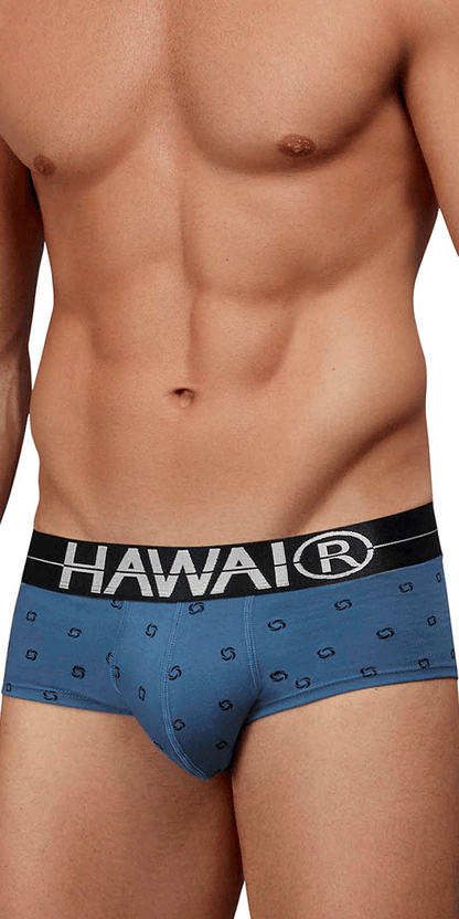 Hawair 42531 Cotton Blend Briefs Blue Quartz