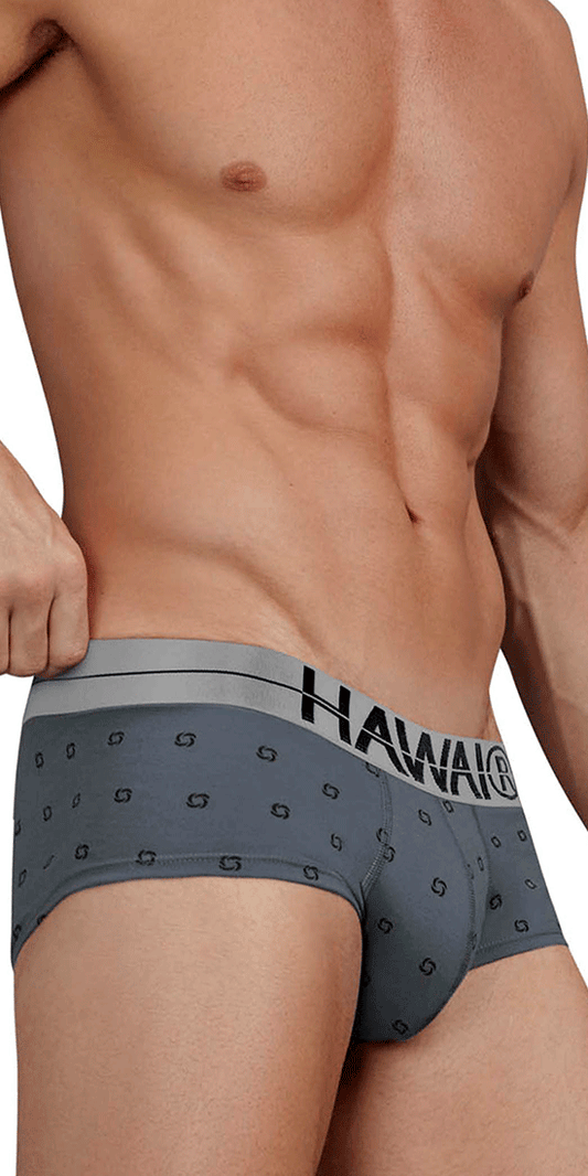 Hawair 42531 Cotton Blend Briefs Gray