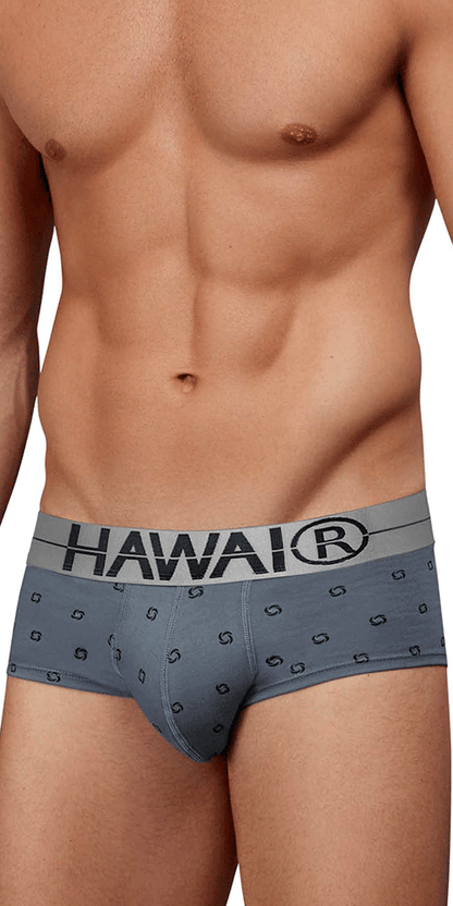 Hawair 42531 Cotton Blend Briefs Gray