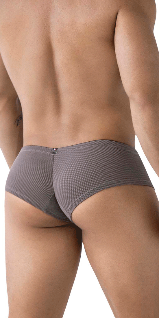 Xtremen 91225 Microfiber Trunks Gray