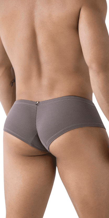 Xtremen 91225 Microfiber Trunks Gray