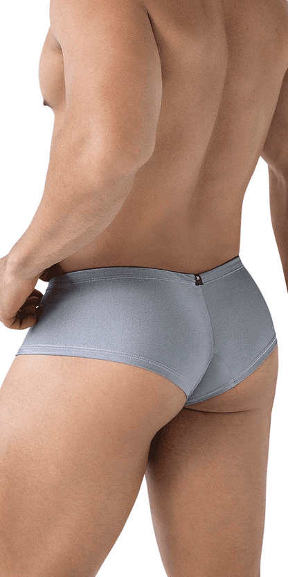 Xtremen 91234 Microfiber Trunks Gray
