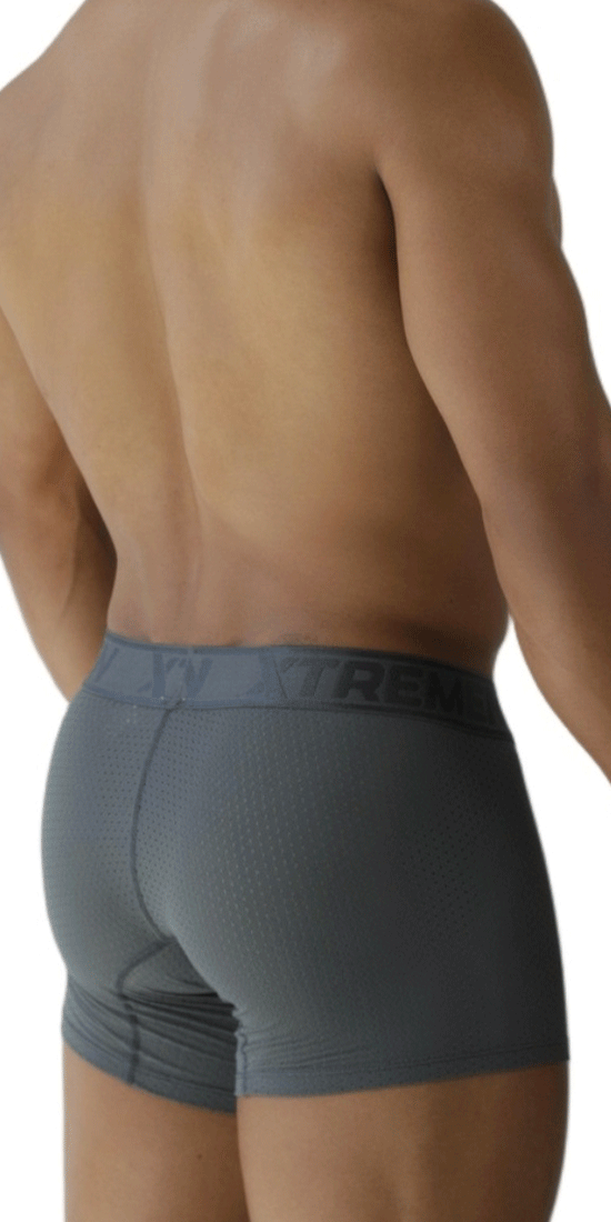 Xtremen 91251 Xtremen Micro-perforated Boxer Briefs Gray