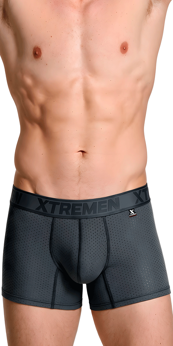 Xtremen 91251 Xtremen Micro-perforated Boxer Briefs Gray