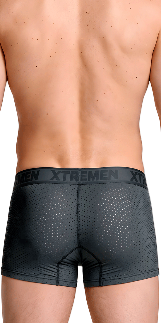 Xtremen 91251 Xtremen Micro-perforated Boxer Briefs Gray