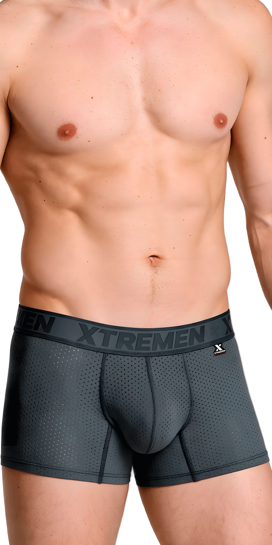 Xtremen 91251 Xtremen Micro-perforated Boxer Briefs Gray