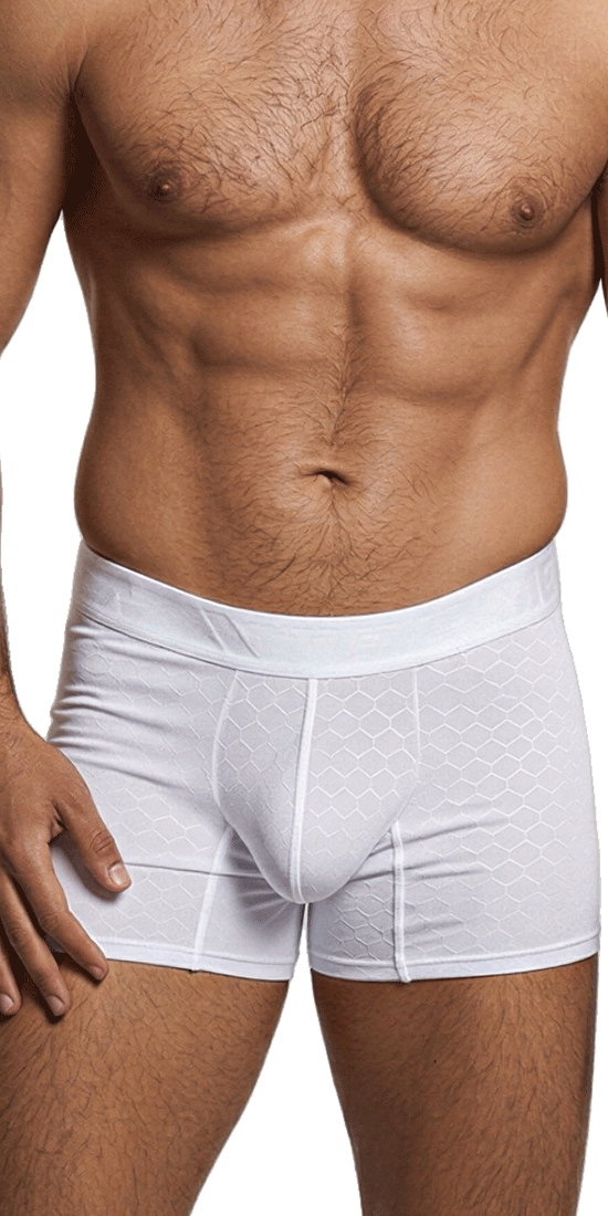 Xtremen 91256 Microfiber Boxer Briefs White