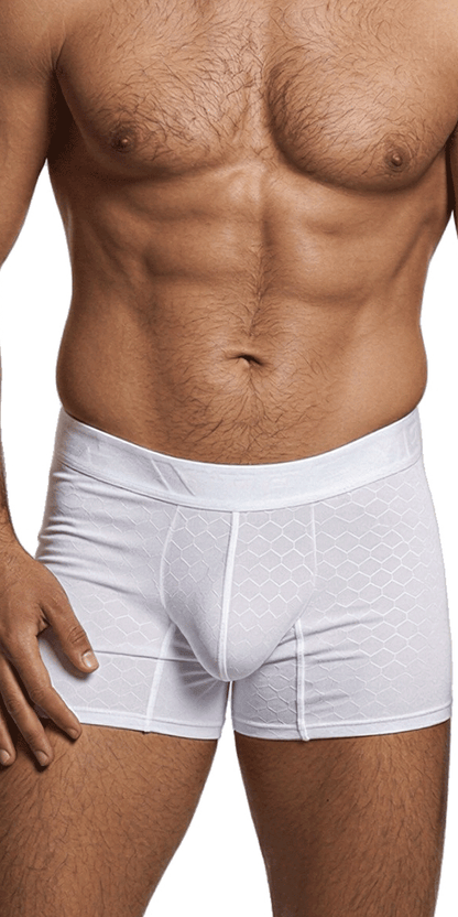 Xtremen 91256 Microfiber Boxer Briefs White