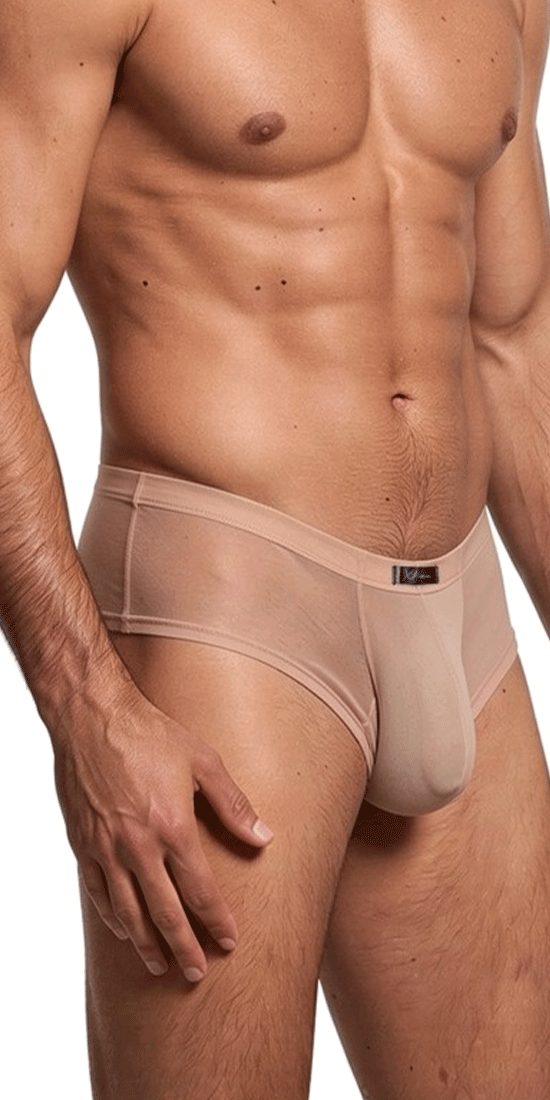 Xtremen 91263 Microfiber Mesh Briefs Brown