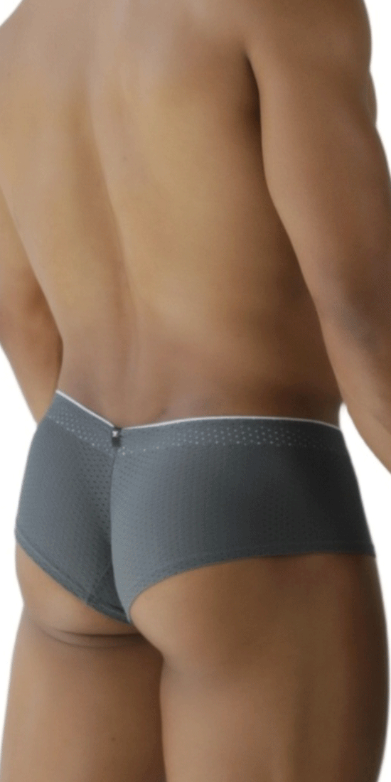 Xtremen 91269 Sleek V-cut Performance Mesh Briefs Gray