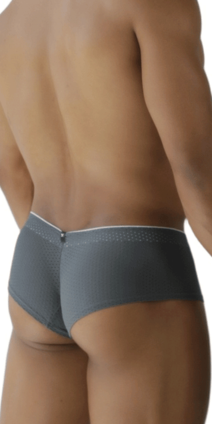 Xtremen 91269 Sleek V-cut Performance Mesh Briefs Gray