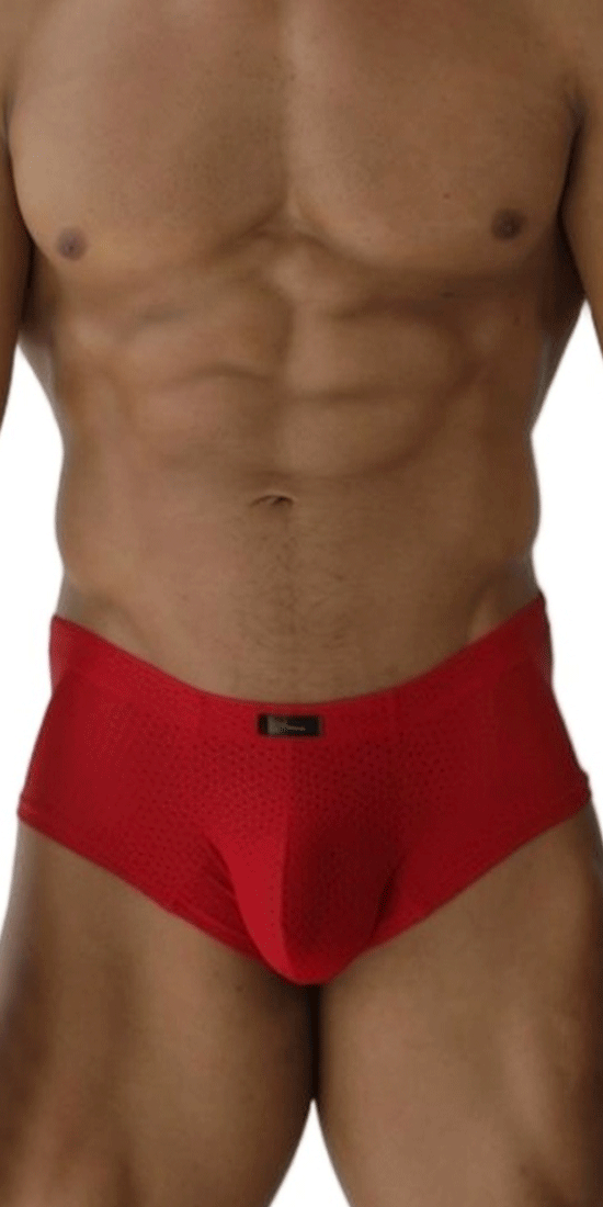 Xtremen 91269 Sleek V-cut Performance Mesh Briefs Red