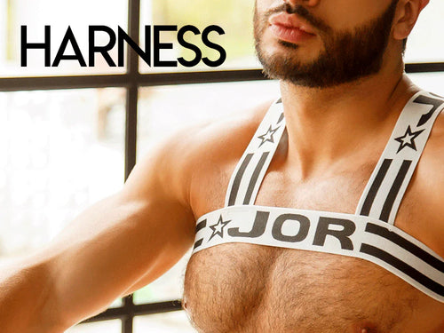Harness