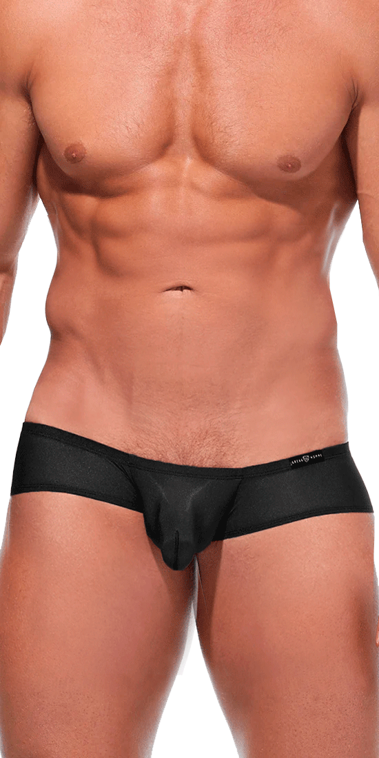 Gregg Homme Essential Torridz Thong 87404