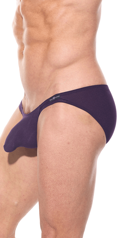 Gregg Homme 87403 Plum