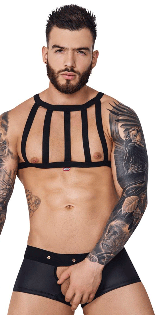 https://www.mensunderwearstore.com/cdn/shop/files/PIK-1278-Sonar-Ball-Lifter-Color-Orange_b_31972883-62ce-483f-af61-10907a3f5017.png?v=1738689644&width=720