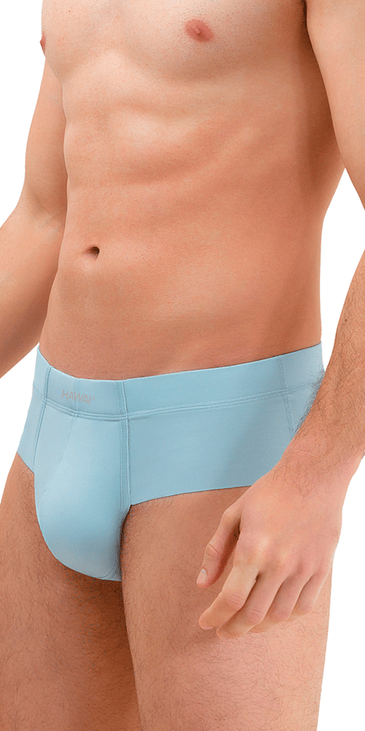 Hawai 42141 Solid Hip Briefs Blue – MensUnderwearStore.com - Men's Underwear and Swimwear